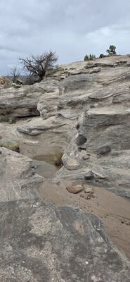 20260831_131045.jpg