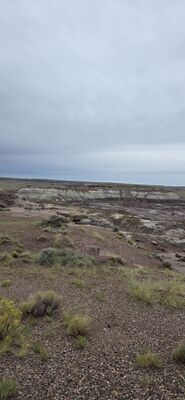 20260831_132052.jpg