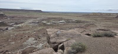 20260831_132153.jpg