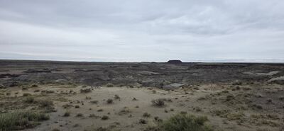 20260831_133554.jpg