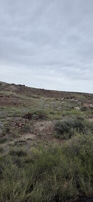 20260831_133940.jpg