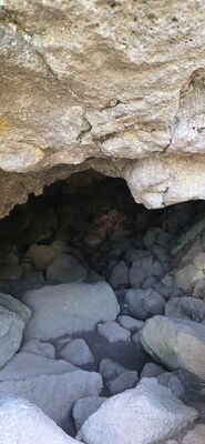 20260901_113034.jpg