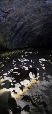 20260901_124010.jpg