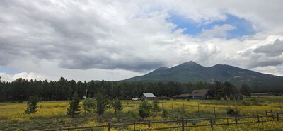 20260901_143815.jpg