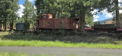 20260902_102718.jpg