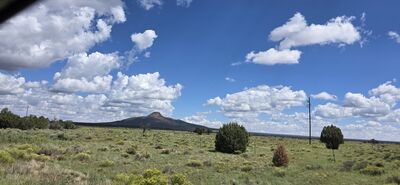 20260902_112718.jpg