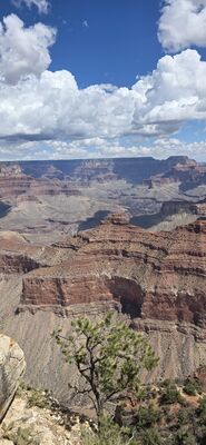 20260902_123043.jpg