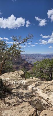 20260902_132855.jpg