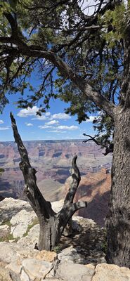 20260902_141253.jpg