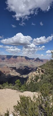 20260902_143056.jpg