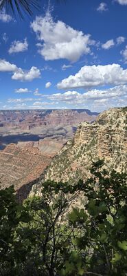 20260902_143707.jpg