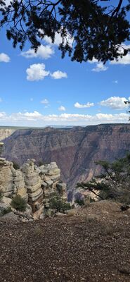 20260902_144603.jpg