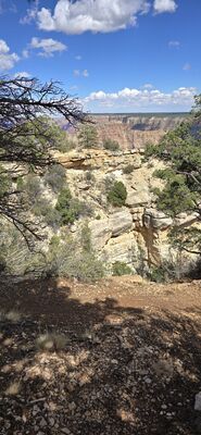 20260902_144616.jpg