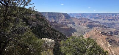 20260902_145041.jpg