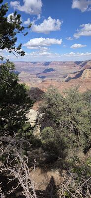 20260902_145145.jpg