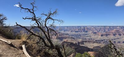 20260902_145636.jpg