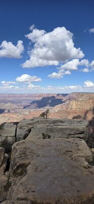 20260902_150031.jpg