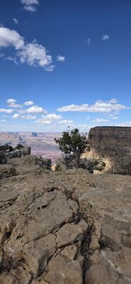 20260902_152249.jpg