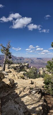 20260902_152405.jpg