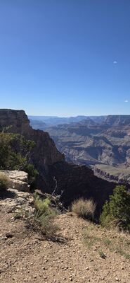 20260902_153737.jpg