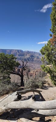 20260902_154021.jpg