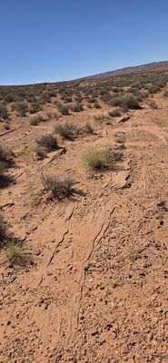 20260903_103157.jpg