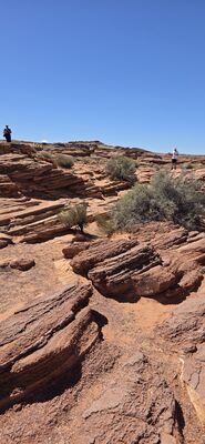 20260903_104423.jpg