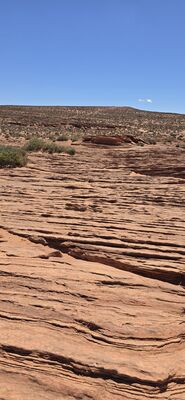20260903_105724.jpg