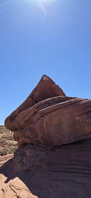 20260903_110341.jpg