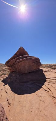 20260903_110351.jpg
