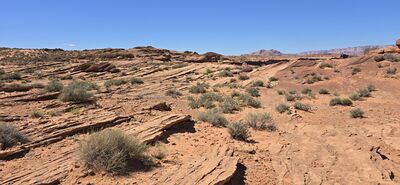 20260903_110545.jpg