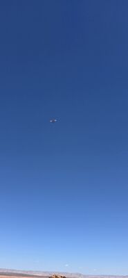 20260903_111055.jpg