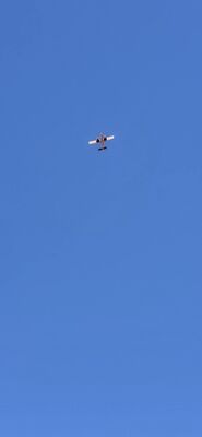 20260903_111058.jpg