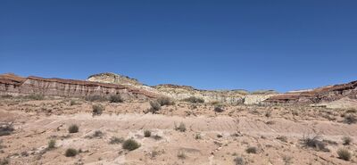 20260903_134427.jpg