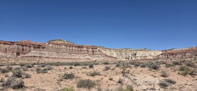20260903_134430.jpg