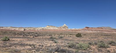 20260903_134632.jpg