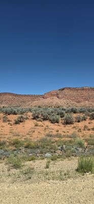20260903_142138.jpg
