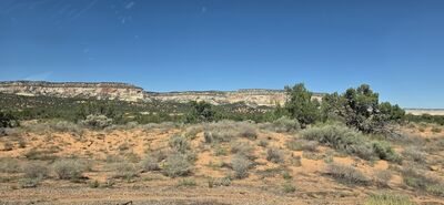 20260903_144948.jpg