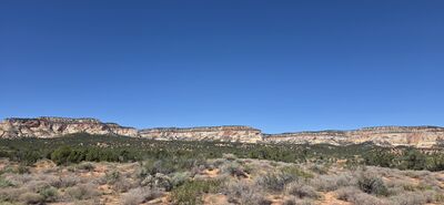 20260903_144958.jpg