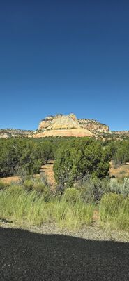 20260903_145119.jpg