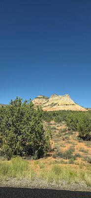 20260903_145129.jpg