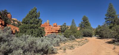 20260903_160554.jpg