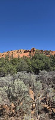 20260903_160559.jpg