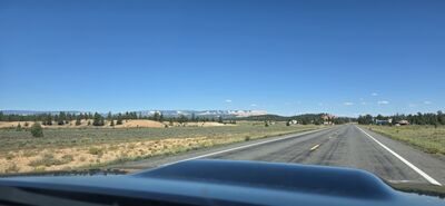 20260903_161632.jpg