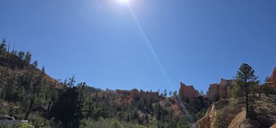 20260903_162528.jpg