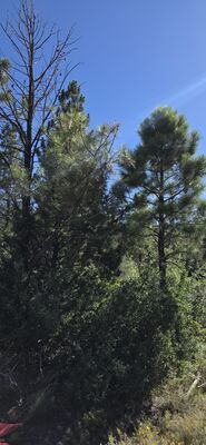 20260903_162552.jpg