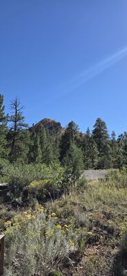 20260903_162554.jpg