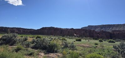 20260903_163731.jpg