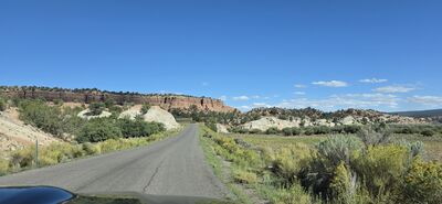 20260903_164436.jpg