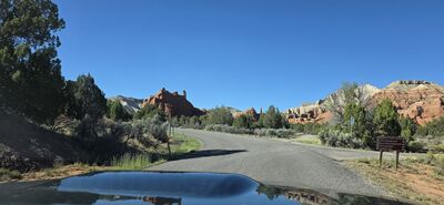 20260903_165319.jpg